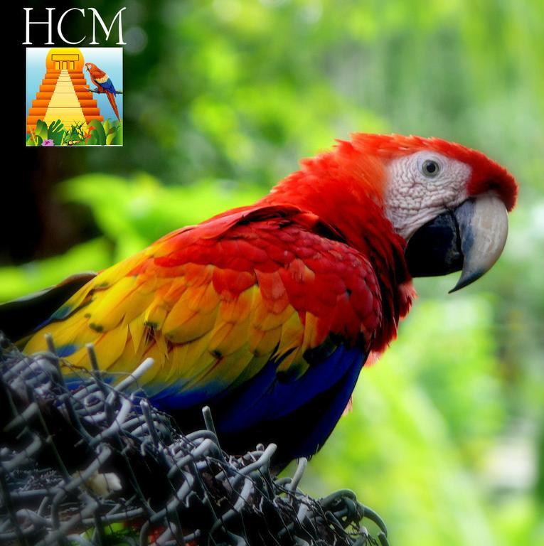 Hotel Ciudad Blanca Copan Luaran gambar